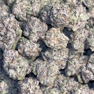 Meet your Posher, Drake